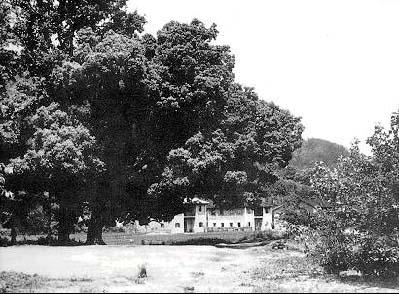 永新三湾--因绿而秀，因红而名！