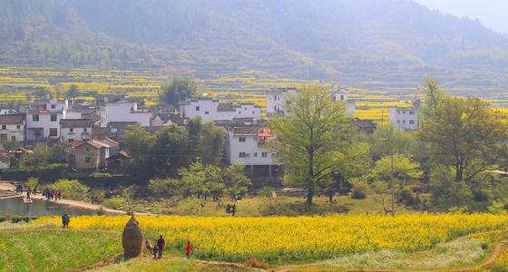 "中国最美丽的乡村"--婺源