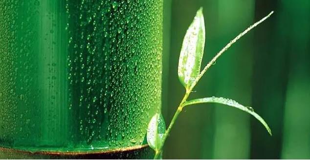 井冈山，唯有敬畏我才能心安