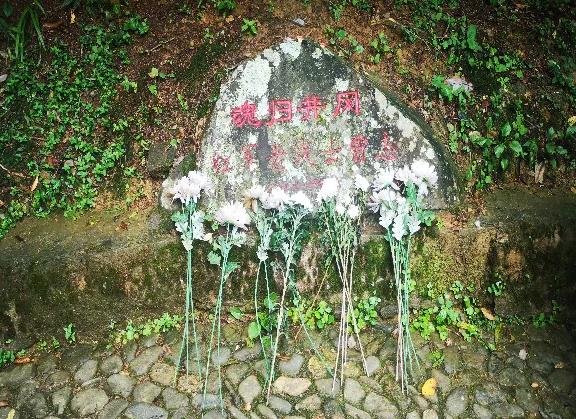 井冈山培训总结发言