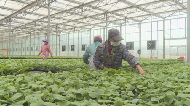 以红色引领,努力把井冈山建设成为革命老区共同富裕先行区