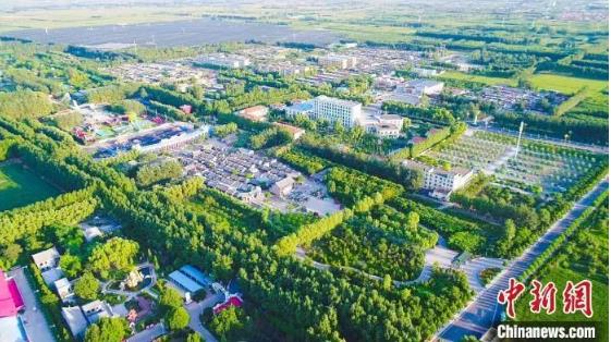 中央一号文件来了！提到整治高价彩礼问题