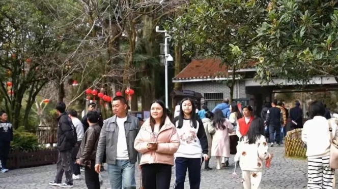 2025年春节期间井冈山旅游盛况