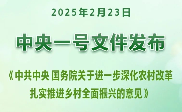 2025年中央一号文件全文发布！《关于进一步深化农村改革 扎实推进乡村全面振兴的意见》