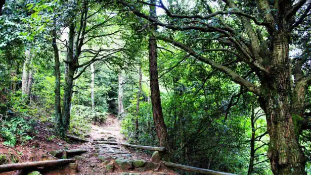 井冈山培训为何强调 "重走挑粮小道"？体能挑战背后的精神内涵是什么？