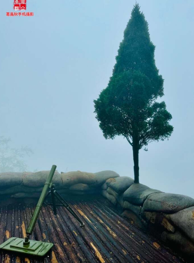 今日黄洋界一树望云开。 葛昌秋摄