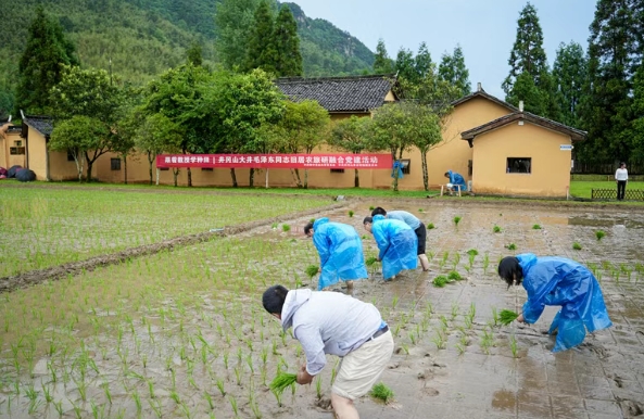 井冈山党建引领农旅研融合绘新卷