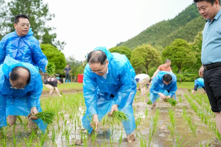 跟着教授学种田丨井冈山党建引领农旅研融合绘新卷