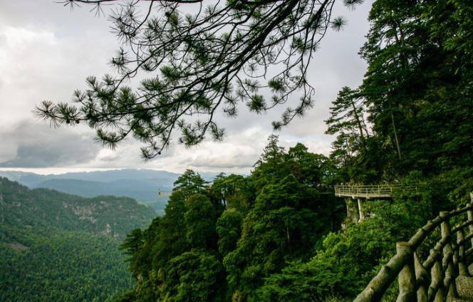 用三个“不等式”走进井冈山 - 学员郑博远