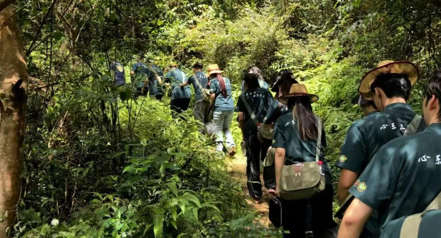 打造井冈山特色实践育人模式 引领青春建功新时代